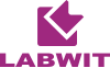 Labwit logo