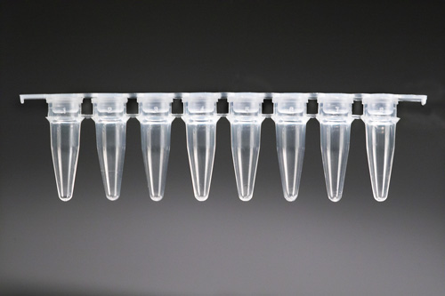 PCR stripy | Institute of Applied Biotechnologies