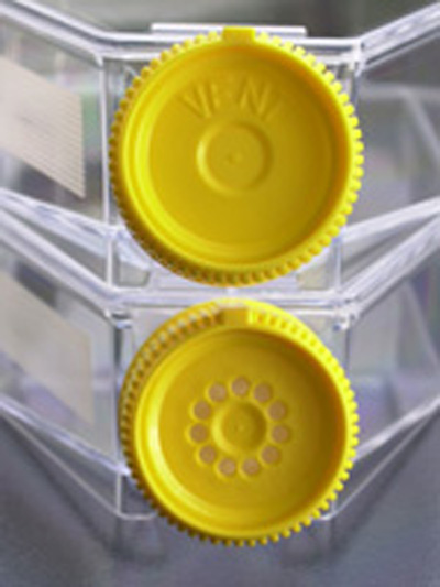 Tissue culture flask 25 cm / filter screw cap, 360 pieces | Techno Plastic Products