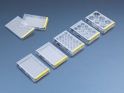 Tissue culture test plate, 24 wells (4 pcs), 72 pieces | Techno Plastic Products
