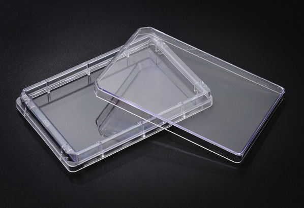 Kultivační destičky tray plate | SPL